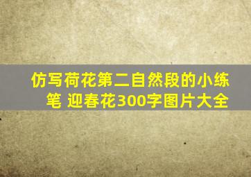 仿写荷花第二自然段的小练笔 迎春花300字图片大全